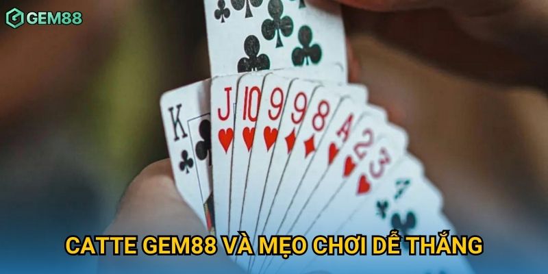 Catte Gem88 và mẹo chơi dễ thắng